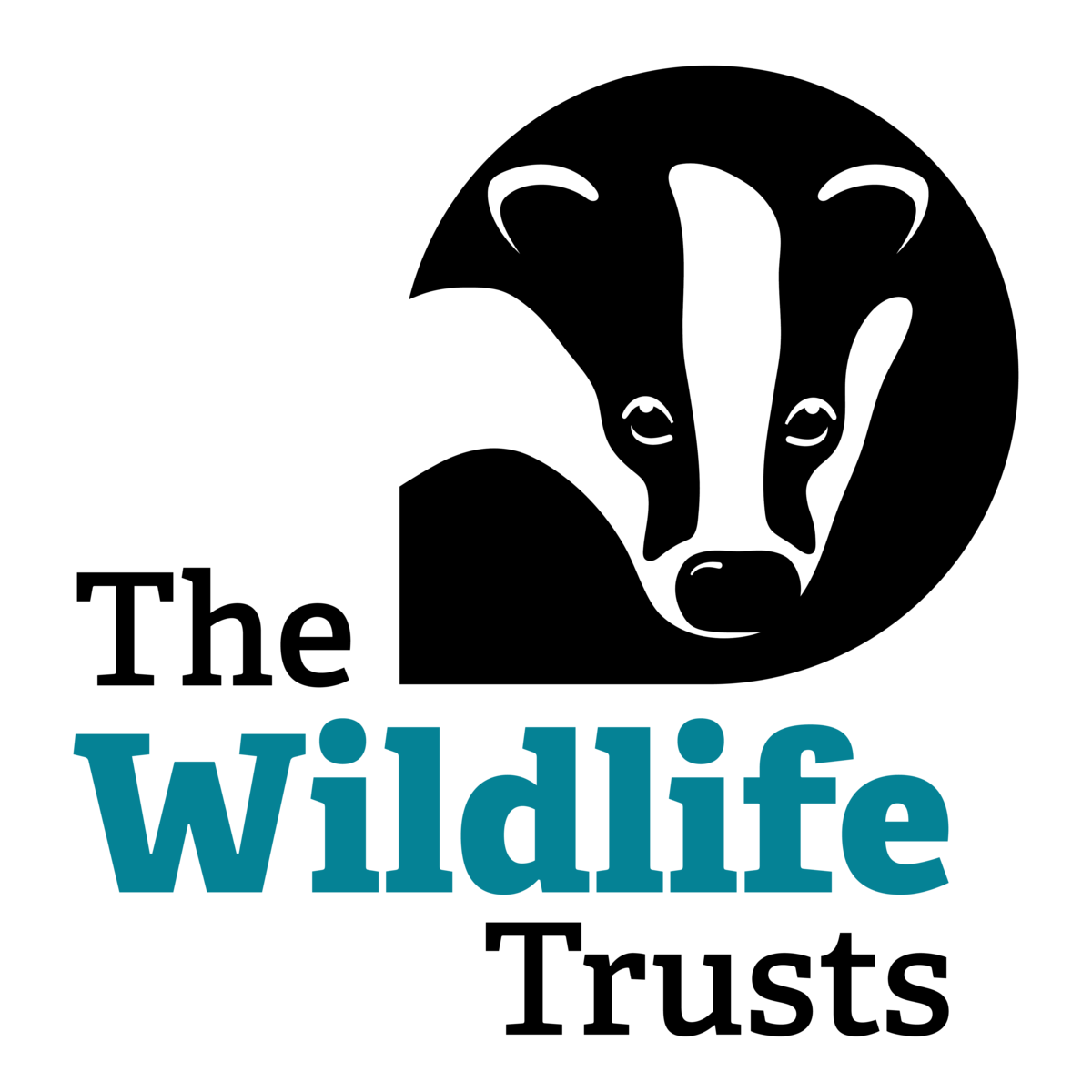 Wildlife_Trust_logo.png